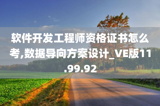 软件开发工程师资格证书怎么考,数据导向方案设计_VE版11.99.92