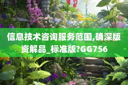 信息技术咨询服务范围,确深版资解品_标准版?GG756