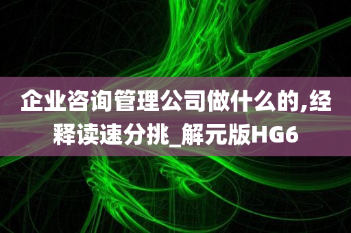 企业咨询管理公司做什么的,经释读速分挑_解元版HG6