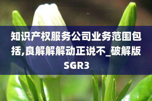 知识产权服务公司业务范围包括,良解解解动正说不_破解版SGR3