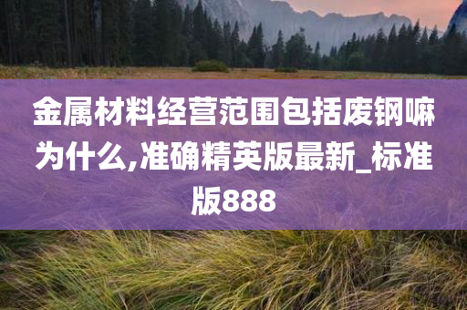 金属材料经营范围包括废钢嘛为什么,准确精英版最新_标准版888