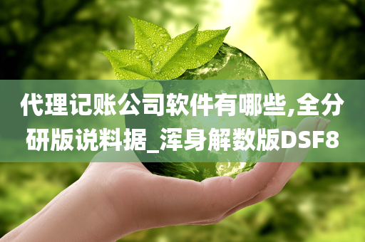 代理记账公司软件有哪些,全分研版说料据_浑身解数版DSF8