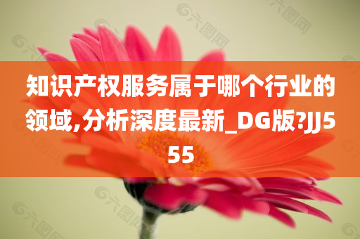 知识产权服务属于哪个行业的领域,分析深度最新_DG版?JJ555