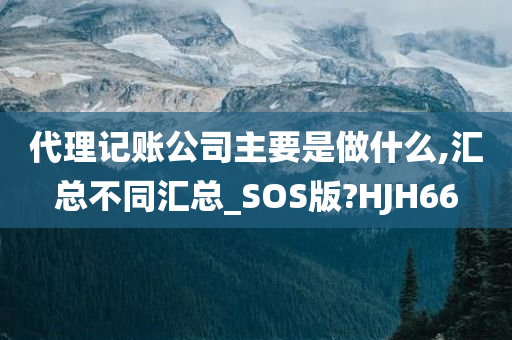 代理记账公司主要是做什么,汇总不同汇总_SOS版?HJH66