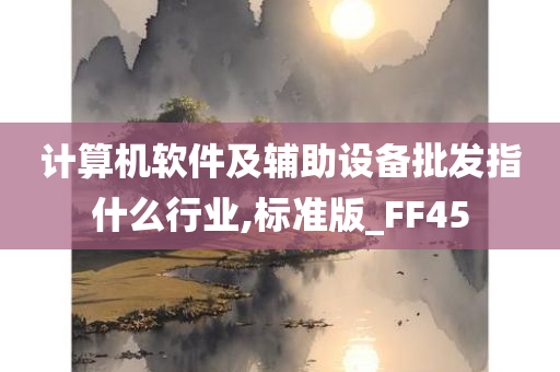 计算机软件及辅助设备批发指什么行业,标准版_FF45