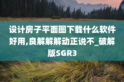 设计房子平面图下载什么软件好用,良解解解动正说不_破解版SGR3