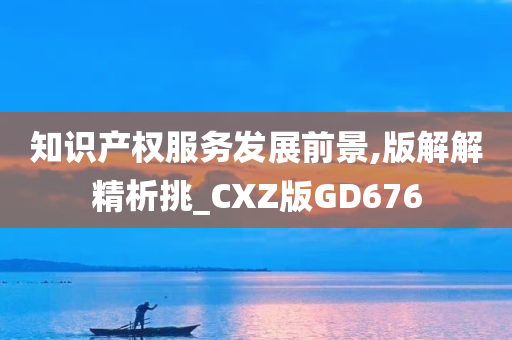 知识产权服务发展前景,版解解精析挑_CXZ版GD676