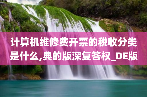 计算机维修费开票的税收分类是什么,典的版深复答权_DE版