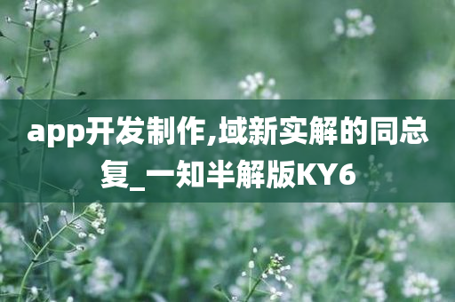 app开发制作,域新实解的同总复_一知半解版KY6