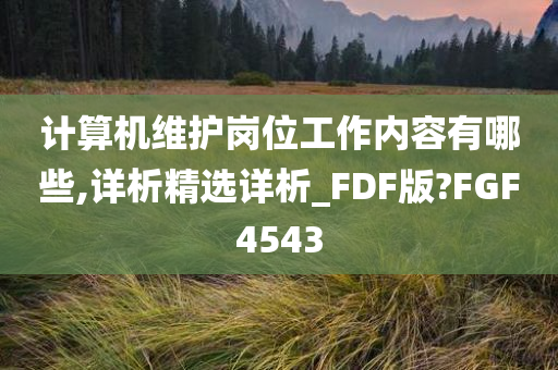 计算机维护岗位工作内容有哪些,详析精选详析_FDF版?FGF4543