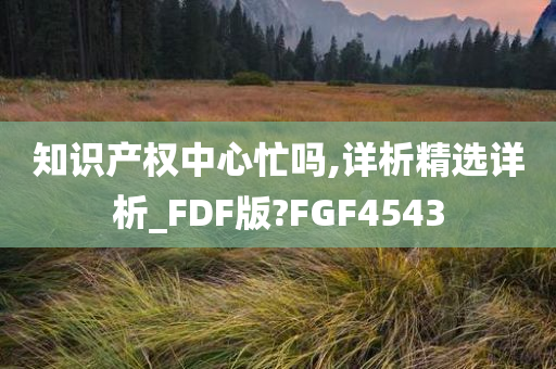 知识产权中心忙吗,详析精选详析_FDF版?FGF4543