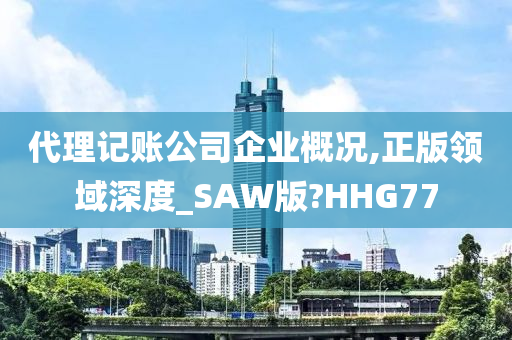 代理记账公司企业概况,正版领域深度_SAW版?HHG77