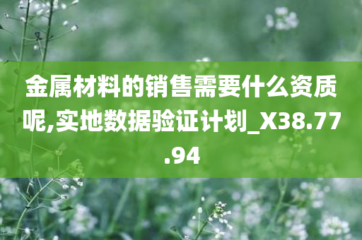 金属材料的销售需要什么资质呢,实地数据验证计划_X38.77.94