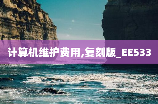 计算机维护费用,复刻版_EE533