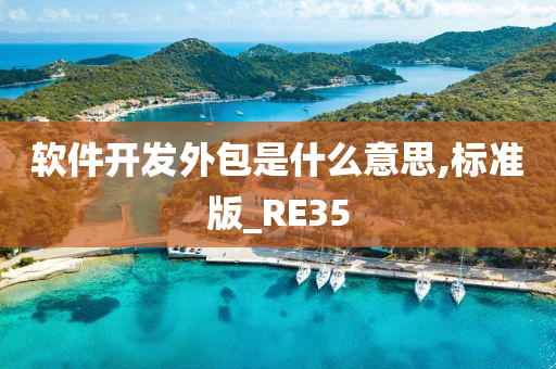 软件开发外包是什么意思,标准版_RE35