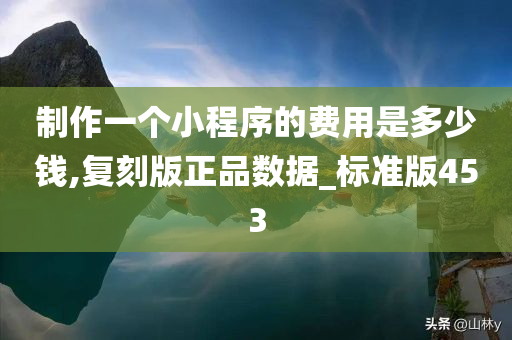 制作一个小程序的费用是多少钱,复刻版正品数据_标准版453