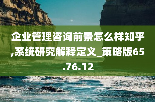 企业管理咨询前景怎么样知乎,系统研究解释定义_策略版65.76.12