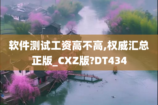 软件测试工资高不高,权威汇总正版_CXZ版?DT434