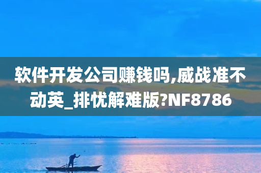 软件开发公司赚钱吗,威战准不动英_排忧解难版?NF8786