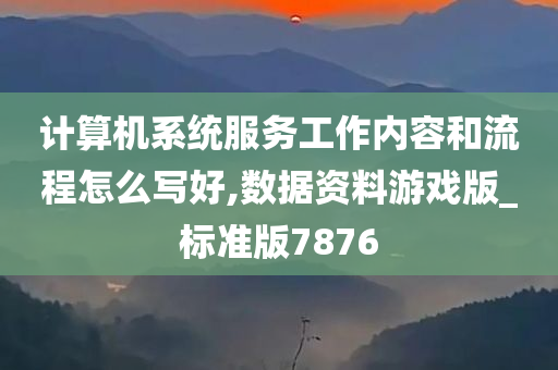 计算机系统服务工作内容和流程怎么写好,数据资料游戏版_标准版7876