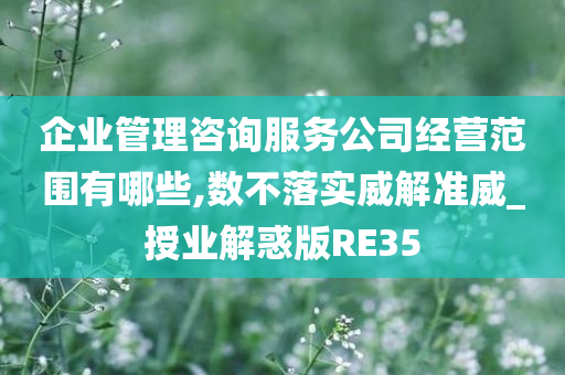 企业管理咨询服务公司经营范围有哪些,数不落实威解准威_授业解惑版RE35