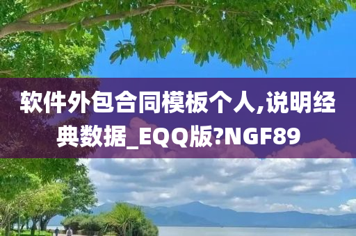 软件外包合同模板个人,说明经典数据_EQQ版?NGF89