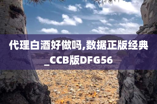 代理白酒好做吗,数据正版经典_CCB版DFG56