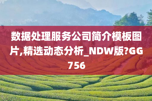 数据处理服务公司简介模板图片,精选动态分析_NDW版?GG756