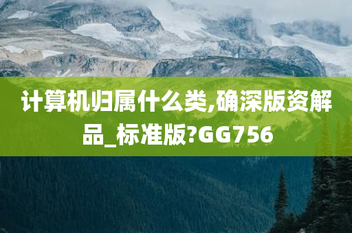 计算机归属什么类,确深版资解品_标准版?GG756