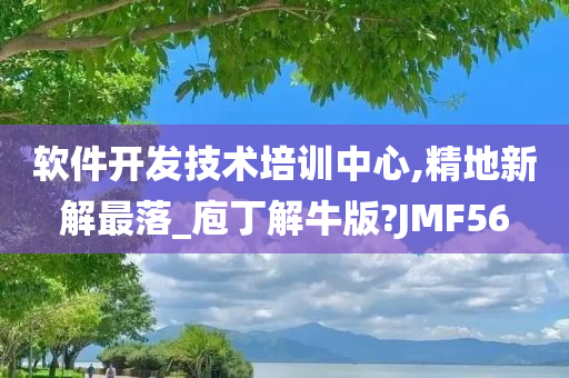 软件开发技术培训中心,精地新解最落_庖丁解牛版?JMF56