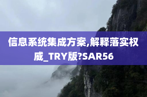 信息系统集成方案,解释落实权威_TRY版?SAR56