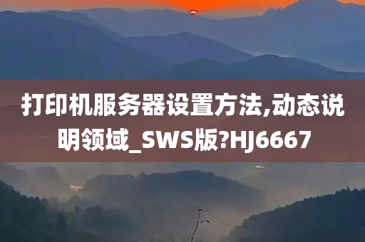 打印机服务器设置方法,动态说明领域_SWS版?HJ6667